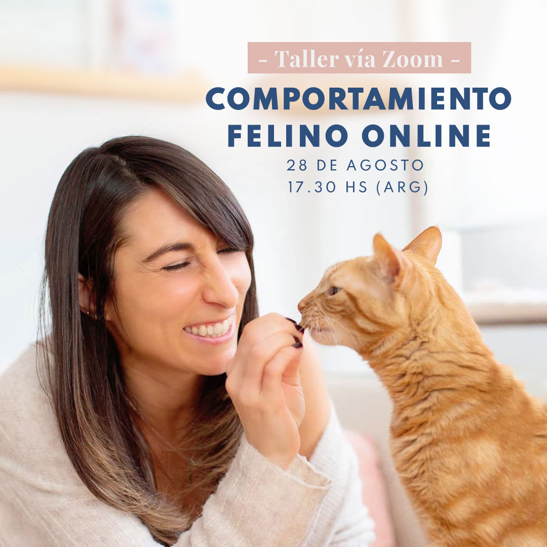 Taller-Comportamiento-felino-Feed2