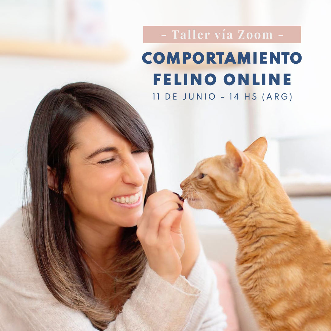 Taller-Comportamiento-felino-Feed-Junio